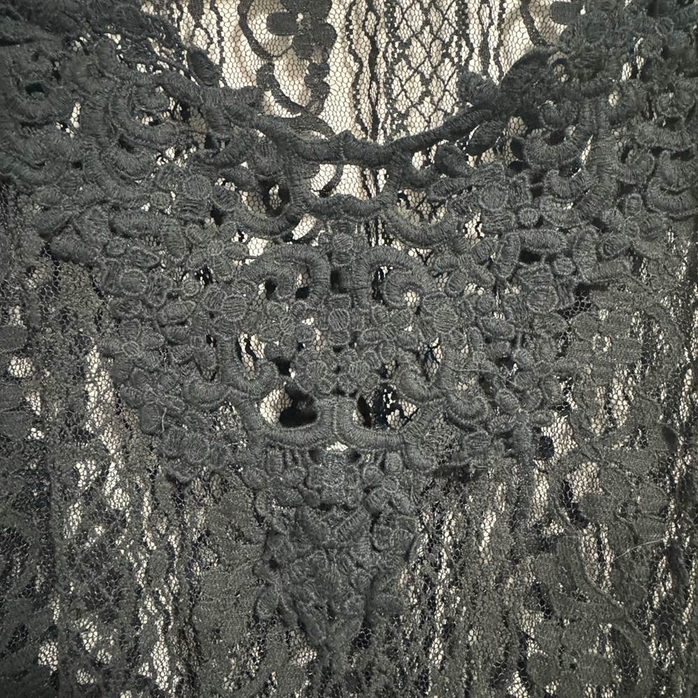 Hollister Black Lace Sheer Crop Top Long Sleeve Size M - Picture 2 of 6